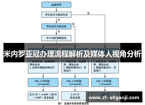 米内罗亚冠办理流程解析及媒体人视角分析