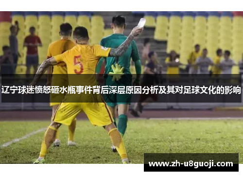 辽宁球迷愤怒砸水瓶事件背后深层原因分析及其对足球文化的影响